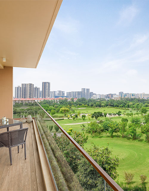 Palm Olympia Highlights